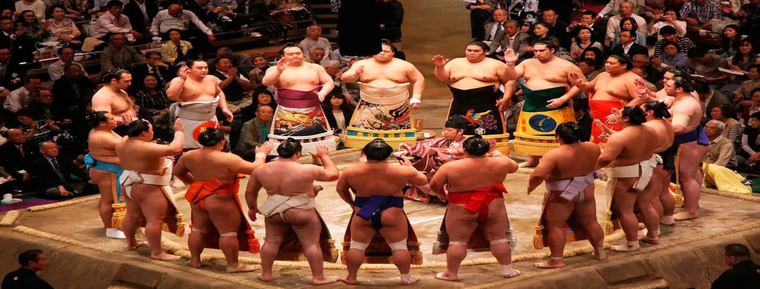 Image for Sumo Wrestling